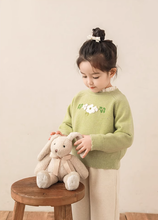 Load image into Gallery viewer, Mint Blossom Knitted Jumper