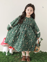 Load image into Gallery viewer, Forest Fable Swing Dress
