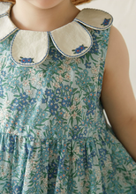 Load image into Gallery viewer, Little Aoki Petal Dress
